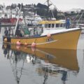 38 trawler - picture 15
