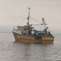 38 trawler - picture 20