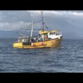 38 trawler - picture 2