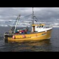 38 trawler - picture 16